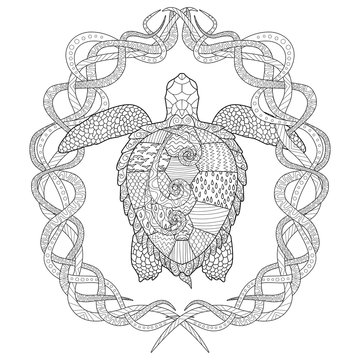 Hand drawn swimming turtle with high details