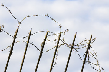 Wire mesh_05／鉄条網_05