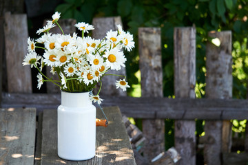 Bouquet of daisies in a can on a wooden background