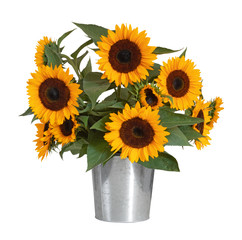 Beautiful sunflower bouquet isolated on white background, including clipping path. Germany