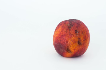 An ugly nectarine isolated close up copy space