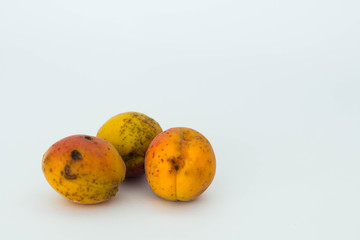 An apricot ugly fruit isolated