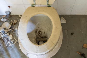 Urban exploration / Abandoned villa