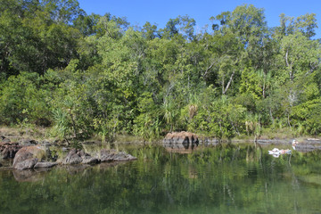 Fototapeta na wymiar Rock pools in Kakadu National Park in the Northern Territory of Australia