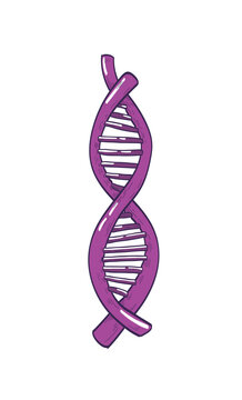 DNA or deoxyribonucleic acid molecule carrying genetic information isolated on white background