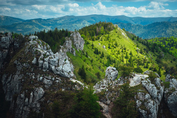 Fototapeta na wymiar Rocks in green summer nature, beautiful mountains in summer light
