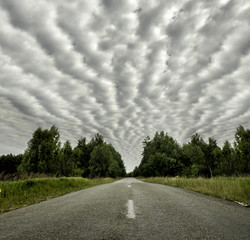 The road among the forest and the beautiful sky in interesting pockmarked clouds.