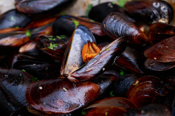 Fresh mussels at grill pan