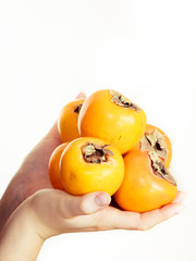 Hand holding persimmon kaki fruits, isolated