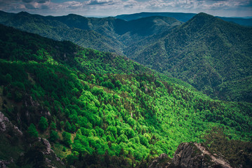 Green summer mountains, beautiful nature