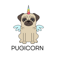 Unicorn pug dog with horn and wings vector cartoon illustration. Pugicorn - lettering quote. 