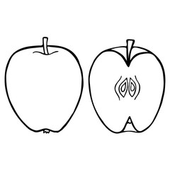 Outline fruit apple. 