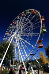 Fototapeta premium ferris wheel in park