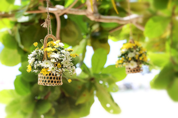 Hanging flower vase decorated at the garden.