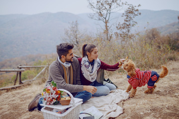 Attractive multicultural couple sitting on blanket and playing with their dog. Picnic at autumn concept.