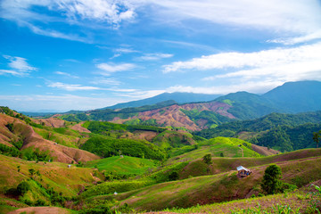 Green Terraces rice field, a beautiful natural beauty on mountain in Nan,Khun Nan Rice Terraces, Boklua Nan Province, north Thailand.