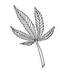 Vector Decorative illustration leave of big hemp