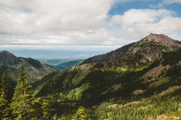 Fototapeta premium Olympic National Park in Washington State