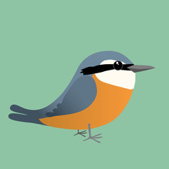   An  Eurasian nuthatch cartoon illustration on a green background