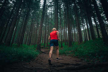 Fototapeta premium Man running in forest, trail run sport photo