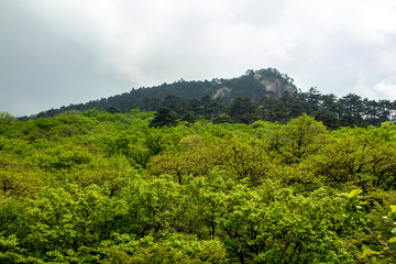 Natural landscape of mountain Huangshan scenery. Located in southern Anhui province in eastern China. It is a UNESCO World Heritage Site.