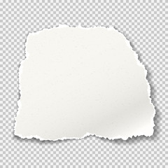 Piece of torn grainy paper strip with soft shadow is on grey squared background. Vector illustration