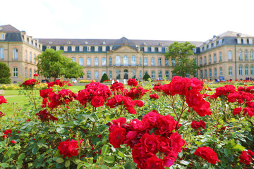 Neues Schloss (New Palace) and Oberer Schloßgarten garden of Stuttgart, Germany. Focus on the red roses garden.
