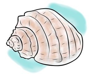 Digital illustration, color sketch of empty sea snail shell on blue background, outline hand painted drawing