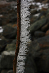 Caucasus. Ossetia. Gorge Tsey. Frost