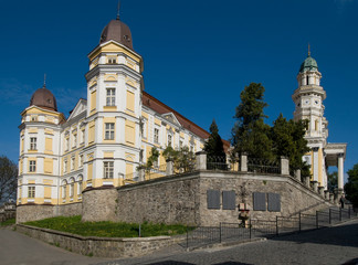 Fototapeta premium Holy Cross Cathedral, Uzhhorod