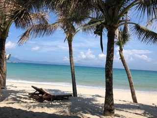 hammock on the beach