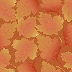 Naklejka na ściany i meble pattern autumn leaves of yellow trees fall seamless colored background
