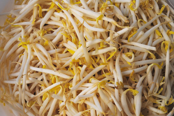 Bean sprouts