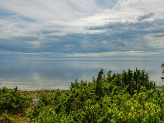 Beautiful bay and rocky beach in Hijuma. Plants and stones in the foreground, Estonia