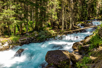 Obraz premium Mountain river water landscape. Wild river in mountains.