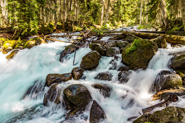 Mountain river water landscape. Wild river in mountains.