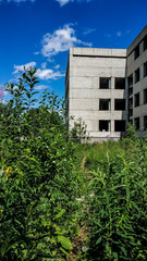 Abandoned overgrown concrete house on a sunny summer day. Building without glass windows