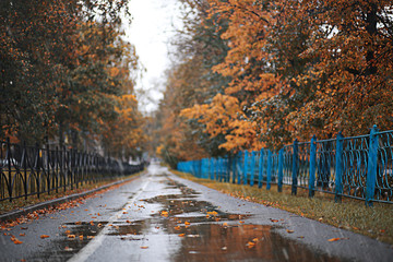 Autumn rain in the park