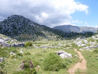 Fototapeta na wymiar Sierra de Grazalema, Spain