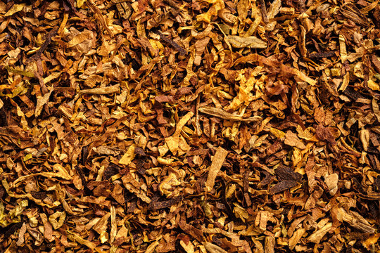 Wallpaper of sliced cigarette tobacco