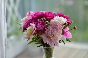 Colorful peony bouquet, peony flowers 