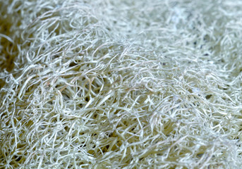 Abstract light painting loofah Background.Close-up.