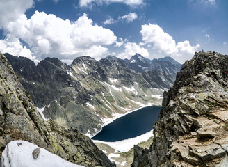 Frowers in Hight Tatras