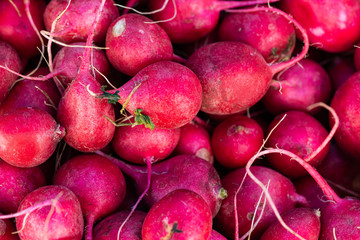 Closeup view of fresh red radish vegetables in a pile on display for sale. Product of farming. Organic food