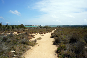 The central part of the island of Formentera. The path to the lake Estany Pudent.Balearic...