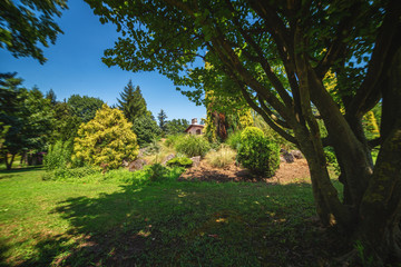 Obraz premium Landscape of Karaca arboretum in Yalova, Turkey, with Mediterranean plants