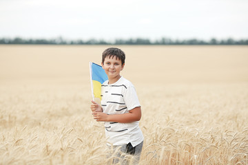 A boy with a blue and yellow flag walks on a wheat field. Ukraine's Independence Day