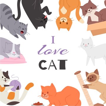 Cute kitty cat vector poster with different kitten breeds, toys, and food. Multi-colored pussycats with i love cat typography. Illustration