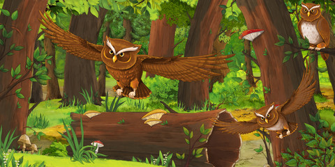 cartoon summer scene with deep forest and birds owls and some other bird - nobody on scene - illustration for children