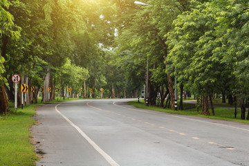 Fototapeta na wymiar Landscape of straight road under the trees